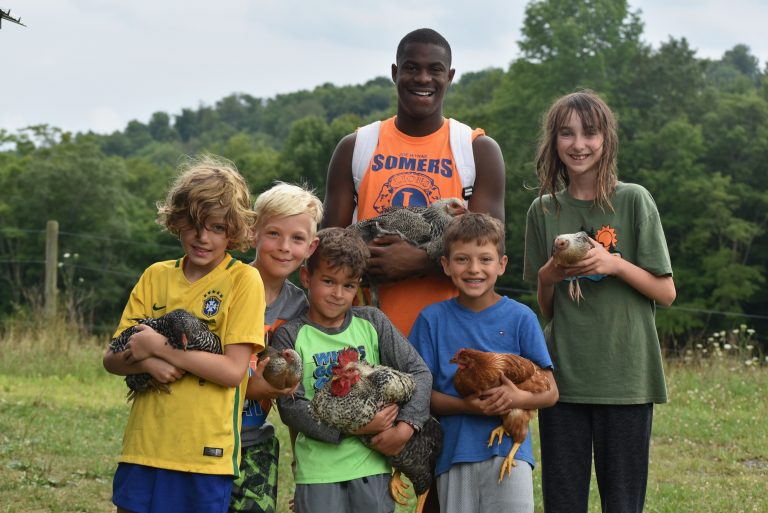 Camp Hilltop Forms Camphilltop